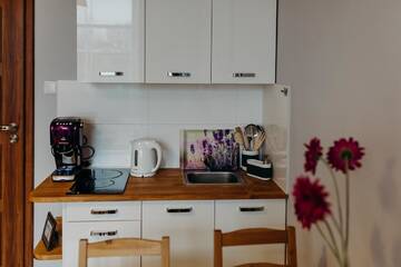 Фото номера Двухместный номер-студио Делюкс с 1 кроватью Апартаменты Grey Apartments II г. Вроцлав 13