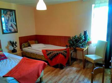 Фото номера Стандартный двухместный номер с 2 отдельными кроватями Мотели Motel Rezydent г. Вроцлав 3