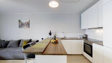 Фото номера Апартаменты с 1 спальней Апартаменты Dmowskiego 17F TectumApartments г. Вроцлав 20