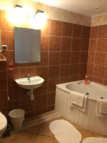 Фото номера Двухместный номер с 1 кроватью и ванной Апарт-отели Hotel VILLA Rezydent г. Вроцлав 2